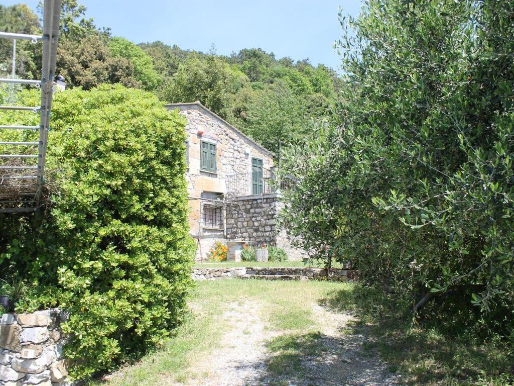 Cottage La Casa Del Pittore Reggimonti Exteriér fotografie