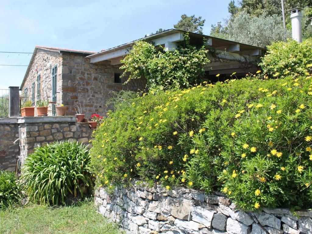 Cottage La Casa Del Pittore Reggimonti Exteriér fotografie